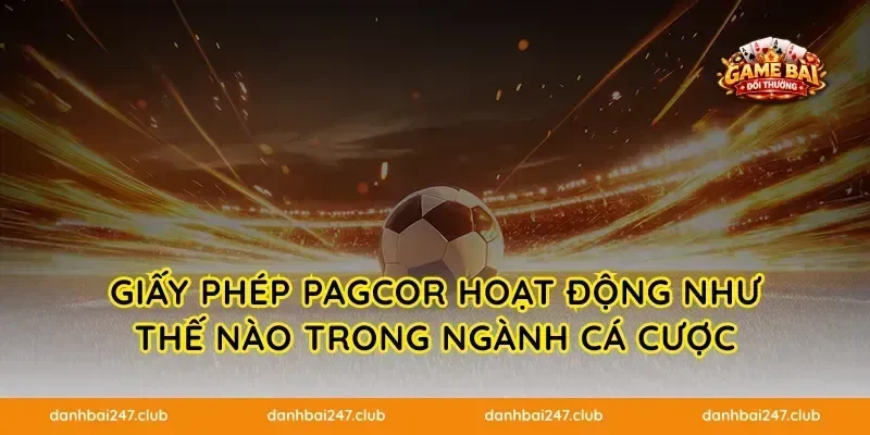 Giấy phép PAGCOR hoạt động như thế nào trong ngành cá cược